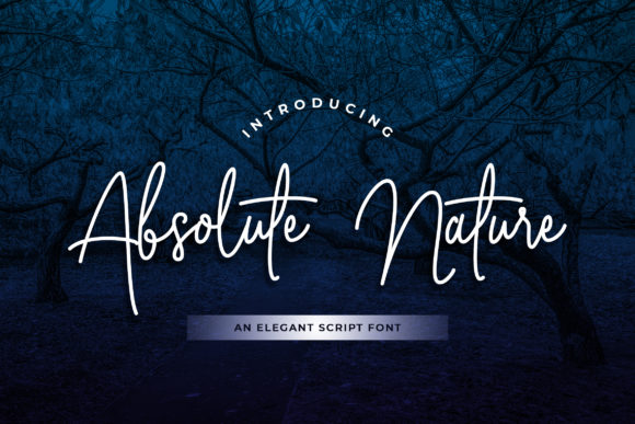 Absolute Nature: A Refined Script for Modern Design