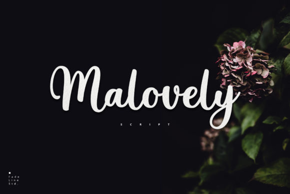 Malovely Font Review: A Sweet Script for Branding